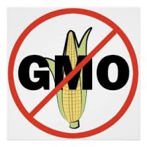 stop-genetically-modified-foods.jpg