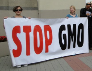 logo_stop_gmo.png